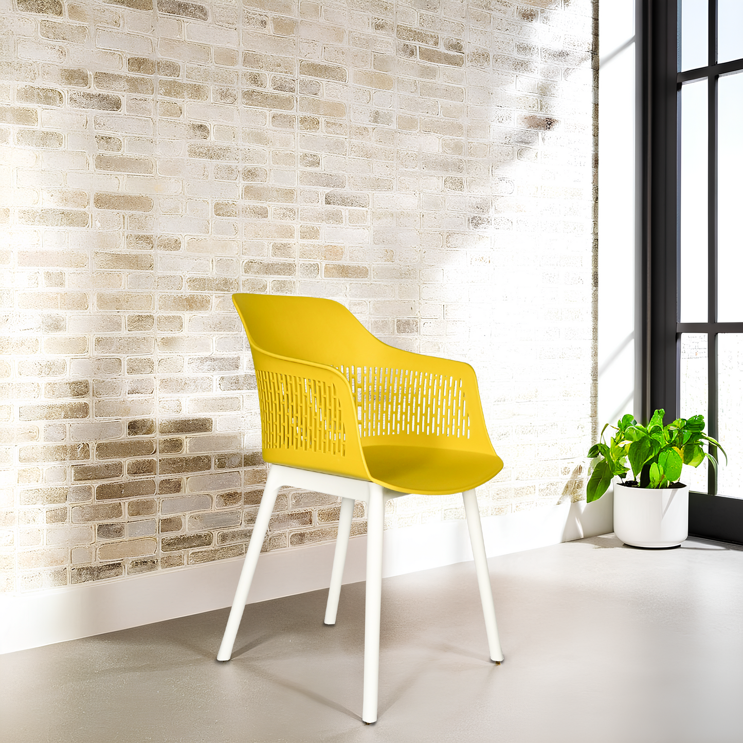 Austria Chair With White Legs (Pack of 2)