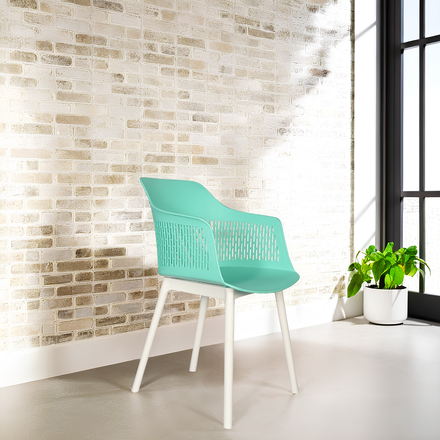Austria Chair With White Legs (Pack of 2)