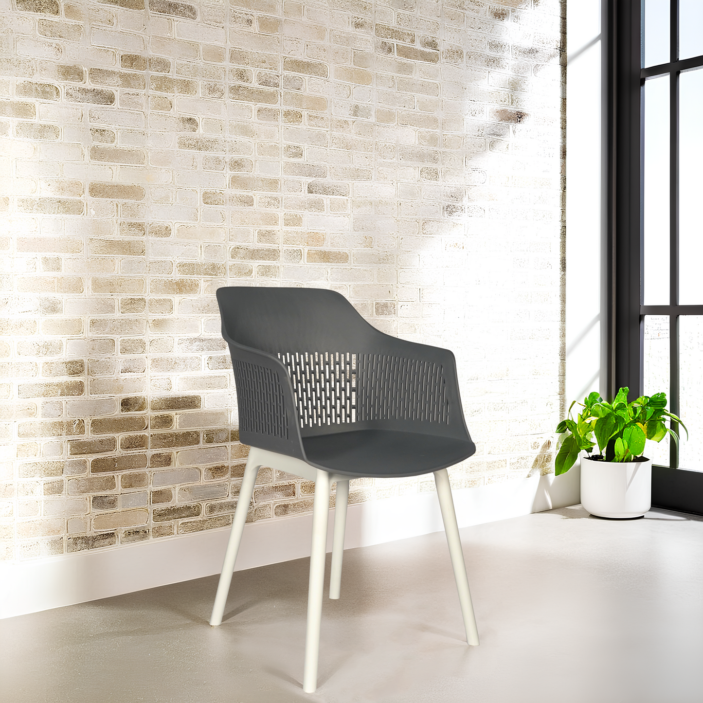 Austria Chair With White Legs (Pack of 2)