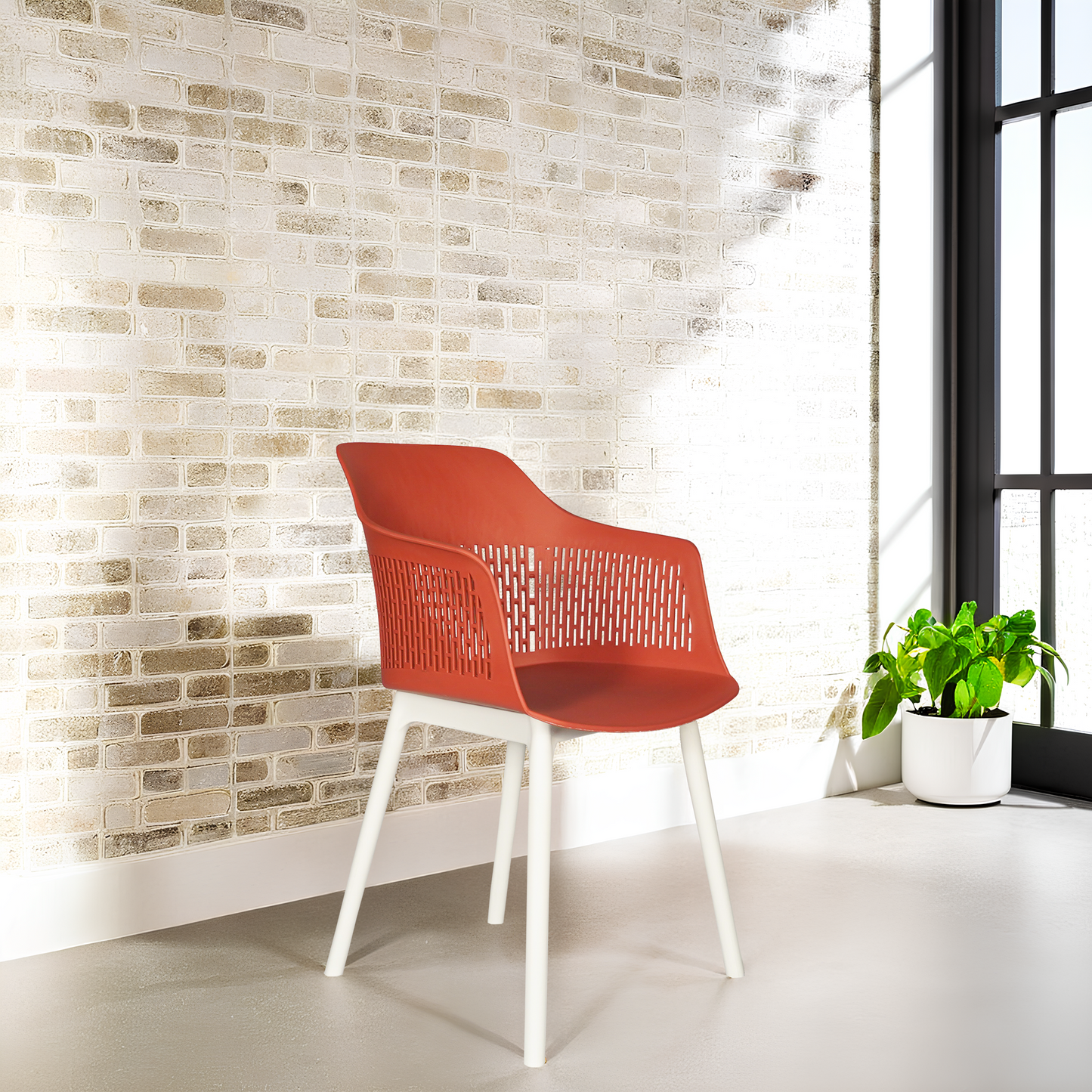 Austria Chair With White Legs (Pack of 2)