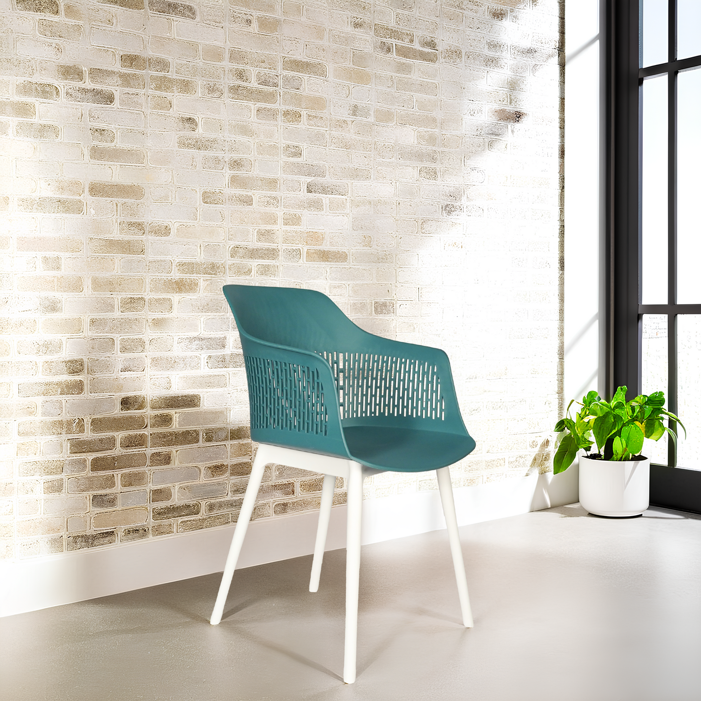 Austria Chair With White Legs (Pack of 2)