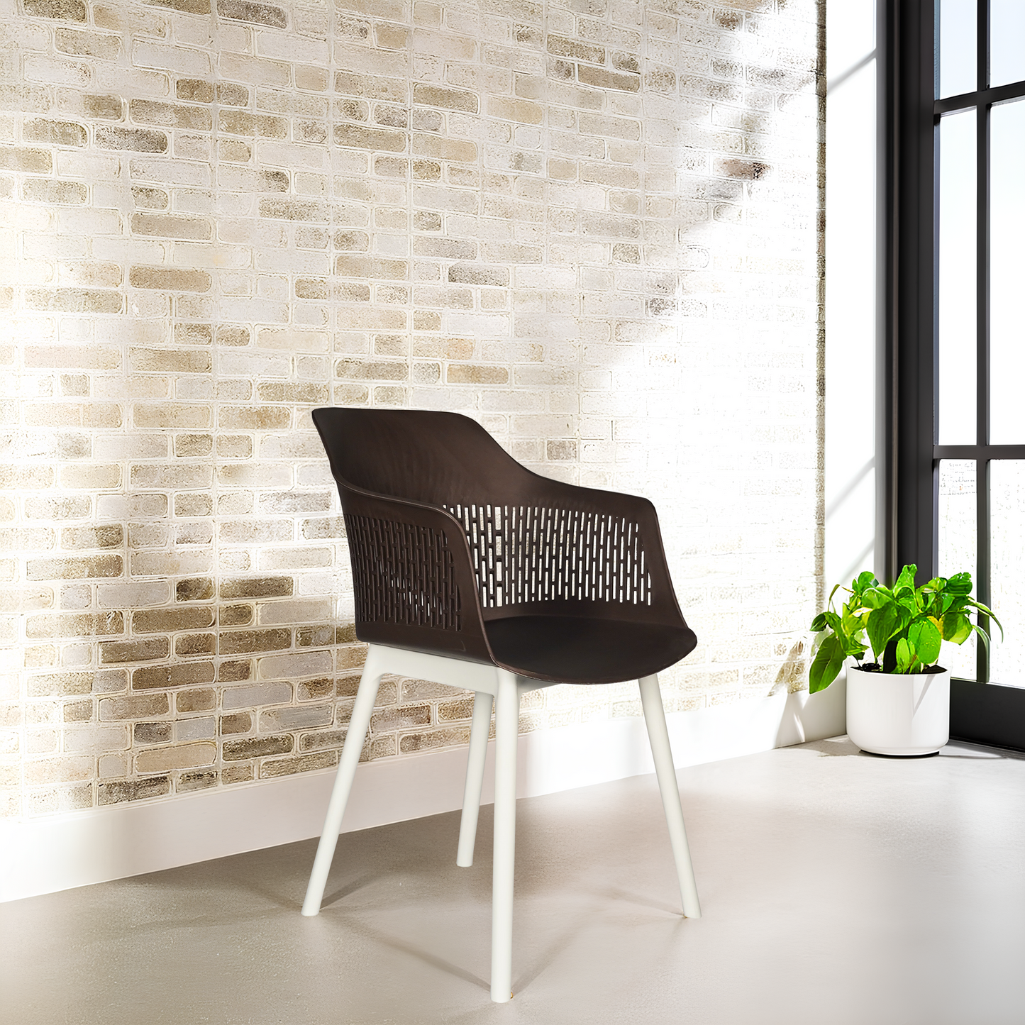 Austria Chair With White Legs (Pack of 2)