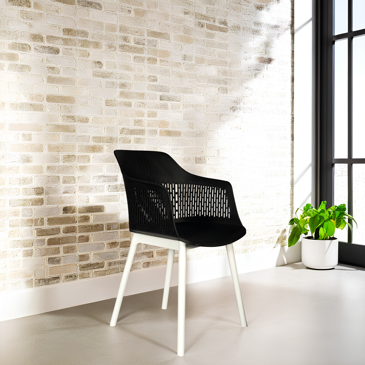 Austria Chair With White Legs (Pack of 2)