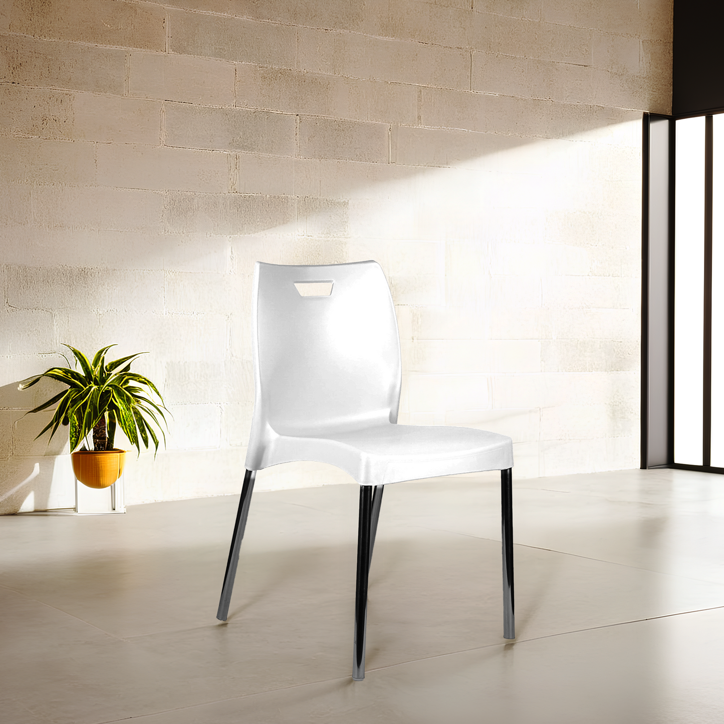 Max Chair (Pack Of 2)