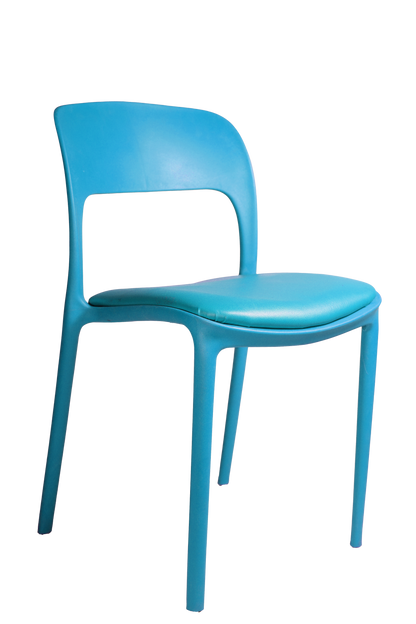 Glory Chair With Cushion
