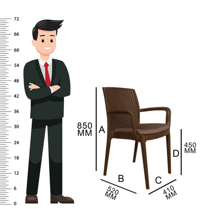 Beeta Chair with Cushion with Arm