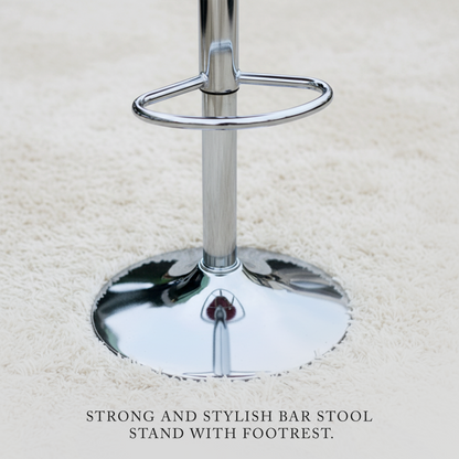 Modern Bar Stool