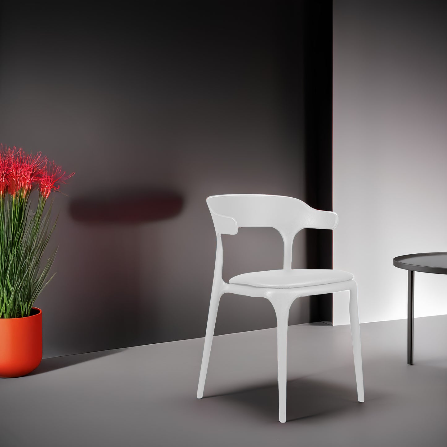 Platina Chair with Cushion