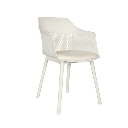 Austria Chair With White Legs