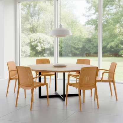 Beeta Chair With Arms (Pack of 2)