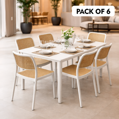 Rolex Chair Without Handle (Pack Of 2)