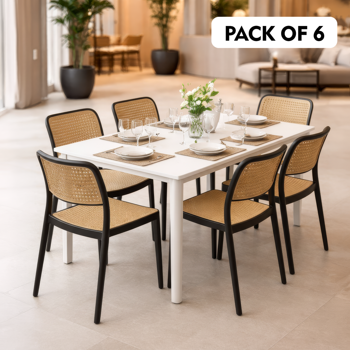 Rolex Chair Without Handle (Pack Of 2)