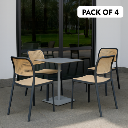 Rolex Chair Without Handle (Pack Of 2)