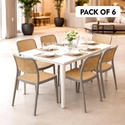 Rolex Chair Without Handle (Pack Of 2)