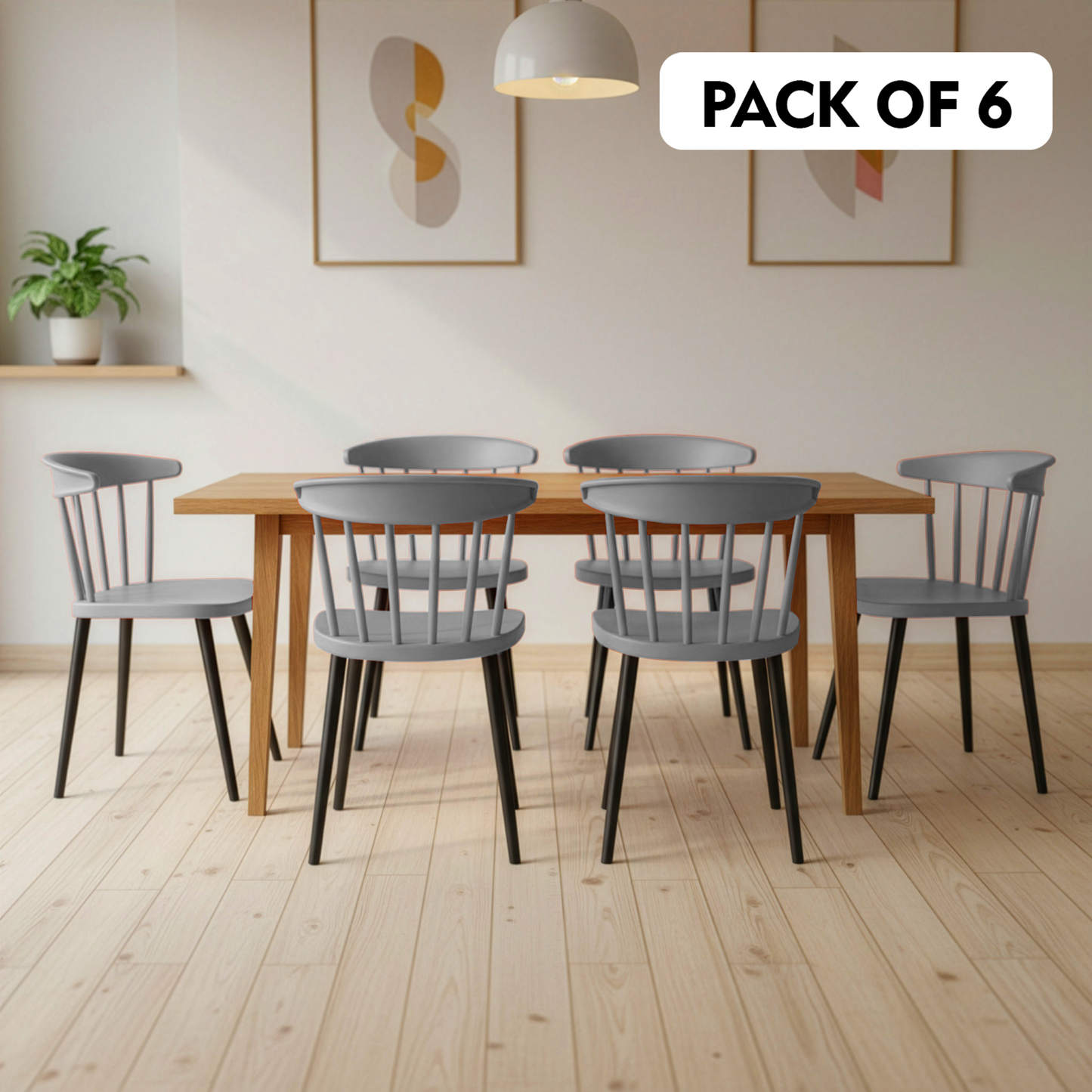 Royal Chair (Pack Of 2)