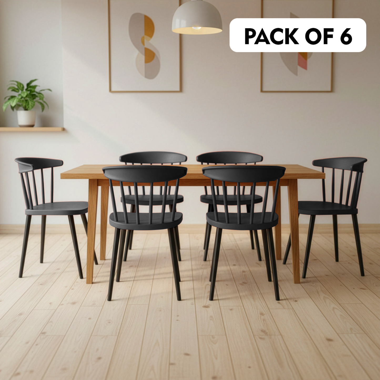 Royal Chair (Pack Of 2)