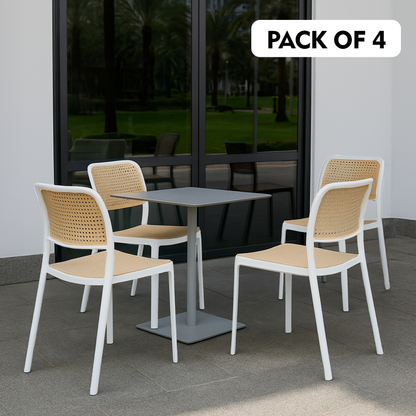 Rolex Chair Without Handle (Pack Of 2)